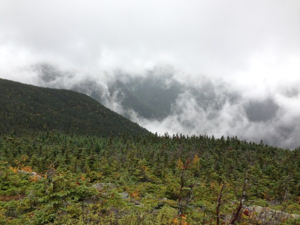 46E237C9-AE6D-4E4A-968E-FA72AFE6F2B6