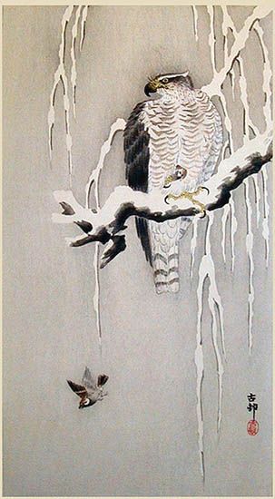 koson-goshawk-and-sparrows